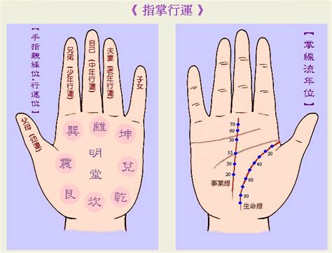 面相分析图|【图文教学】如何看面相，手相，自断吉凶不求人